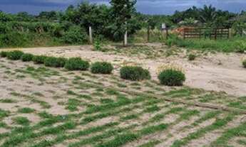 Imagem 3: Vende se está Chácara