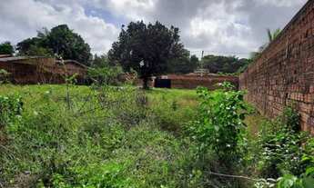 Imagem 4: Terreno Murado - área: 25 x 50 - Vila São José - Estrada da Maioba