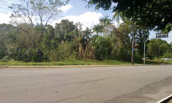 Imagem 5: JOINVILLE - Terreno Padrão - SAGUAÇÚ