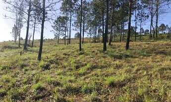 Imagem 6: Lote/Terreno para venda possui 1000 metros quadrados em Jardim Recreio - Bragança Paulista