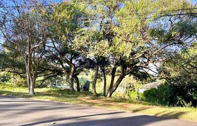 Imagem 3: Terreno - Sítios de Recreio Gramado - Campinas