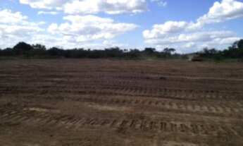 Imagem 2: FEIRA DE SANTANA - Terreno Padrão - AVIÁRIO