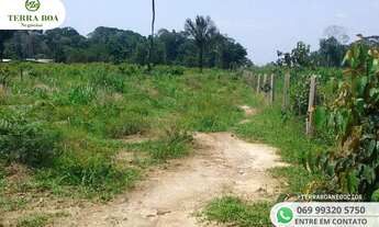 Imagem 3: SITIO 64 HECTARES - 44 HECTARES FORMADO