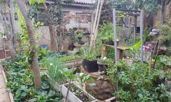 Imagem 5: 2 casas para venda e sala comercial próximo a Av. Flores da cunha