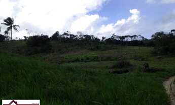 Imagem 6: JANDAIRA - RURAL - CENTRO