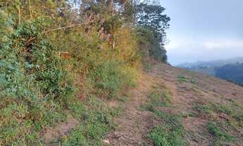 Imagem 5: PROMOÇÃO TERRENO DAS FLORES P 2