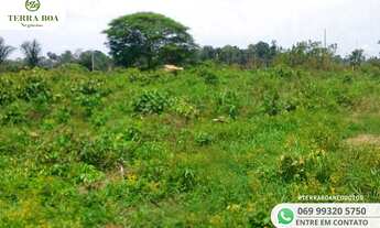 Imagem 4: SITIO 64 HECTARES - 44 HECTARES FORMADO