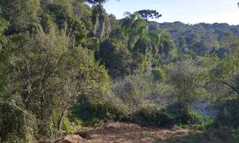 Imagem 7: Chácara á venda em Piraquara, no Roça nova