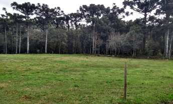 Imagem 2: Fazenda/Sítio/Chácara -Casca -RS