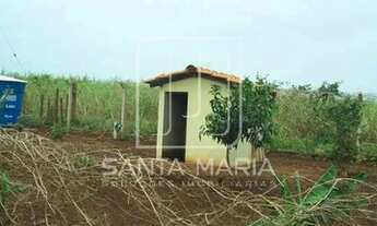 Imagem 5: Chacara (chacara) 2 dormitórios/suite, cozinha planejada, em condomínio fechado