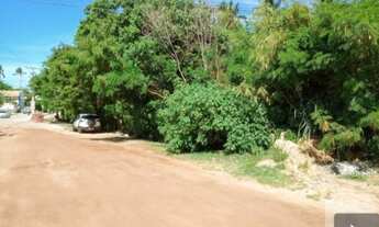 Imagem 4: Lote/Terreno para venda com 14000 metros quadrados em Centro - Mata de São João - BA