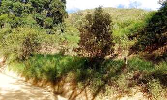 Imagem 9: VENDO Chácara com venda por R$125.000