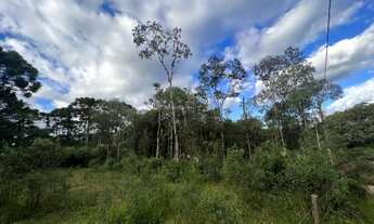 Imagem 4: TERRENO À VENDA EM SÃO JOSÉ DOS PINHAIS, PROXIMO AO PEDAGIO DA BR 277