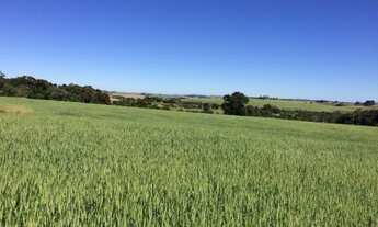 Imagem 3: ITAPETININGA - RURAL - ÁREA RURAL DE ITAPETININGA