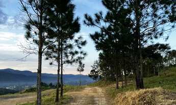 Imagem 3: Lote/Terreno para venda possui 600 metros quadrados em Centro - Mairiporã - SP