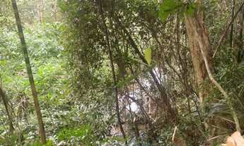 Imagem 4: Chácara a venda parcelo 60