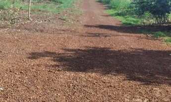 Imagem: Chácara a 5 km de Buritirana palmas