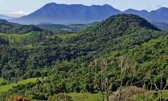 Imagem 2: Terreno Rural - Vista paradisíaca