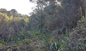 Imagem 3: Chácara á venda em Piraquara, no Roça nova