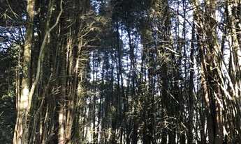 Imagem 2: TERRENO A VENDA DIRETO COM O PROPRIETARIO MN