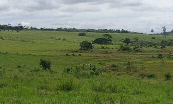 Imagem 2: Vendo Excelente Fazenda Em Presidente Tranquedo Neves