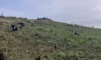 Imagem 6: TK Venha viver com tranquilidade!Lotes belíssimos