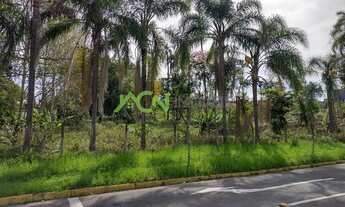 Imagem 7: Novo Hamburgo - Terreno Padrão - Operário