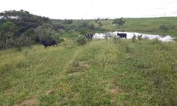 Imagem 4: Fazendinha Rural de 20.000m2 com doc. reguar, frente cercada, topografia plana ! Oportunid