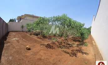 Imagem 4: Terreno (terreno normal