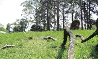 Imagem 6: Lote a venda com 812m² - Residencial Lago Orion - Aldeia da Serra/SP