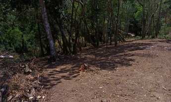 Imagem: Vendo terreno em Mulungu a 5 minutos do