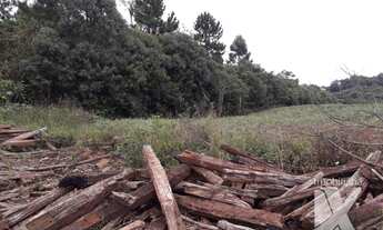 Imagem 3: Área à venda, 21163 m² por R$ 3.400.000,00 - Capela Velha - Araucária/PR