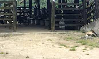 Imagem: Vendo Excelente Fazenda Em Presidente Tranquedo