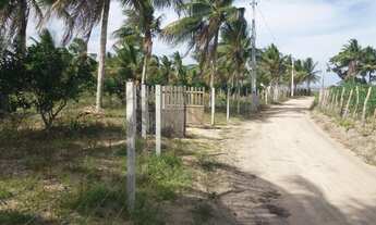 Imagem 2: Sitio em acajutiba - 1tarefa e meia na cidade