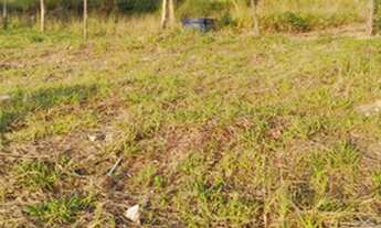 Imagem 5: 1.000m2 saldo em ate 60x