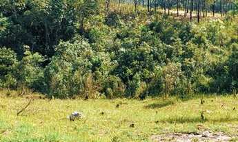 Imagem 12: 89m-Terrenos no Recanto das aguas, lindo! Venha garantir o seu