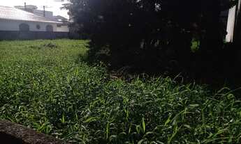 Imagem 3: Lote/Terreno para venda tem 689m² no Campeche - Florianópolis - SC