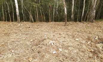 Imagem 2: Terreno 1.700Mts Analiso Propostas Com Entrada e Parcelas