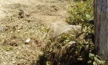 Imagem 2: Terreno enorme Terreno / lote com venda por R$45.000