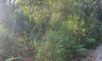 Imagem 4: Fazenda/Sítio/Chácara para venda com 1500 metros quadrados em Vila São Tiago - Piraquara