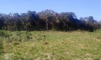 Imagem 7: Área à venda, 120000 m² por R$ 1.000.000,00 - Linha Imperial - Nova Petrópolis/RS