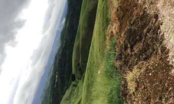 Imagem: Lotes a venda no interior de são Paulo