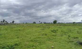 Imagem: Fazenda 328 alqueires Região de Ariquemes