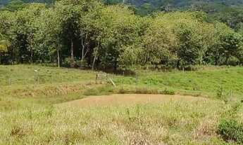 Imagem 7: Vende-se 3 chácara 350000