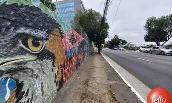 Imagem 4: São Paulo - Terreno Padrão - Pinheiros