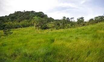 Imagem 3: Vendo casa com terreno de 20.000 m2 (vinte Mil Metros