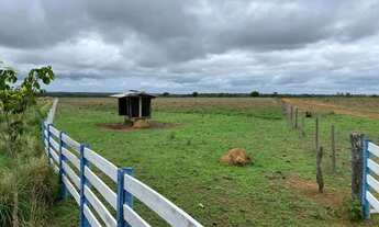 Imagem: Fazenda/Sítio/Chácara para venda com 6098