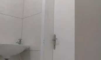 Imagem 4: Pet Shop no centro de Campinas