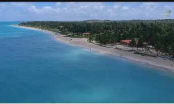 Imagem 6: ALUGUEL PONTA DO MANGUE MARAGOGI-AL