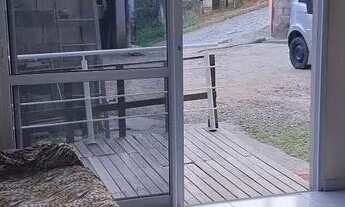 Imagem 5: Apartamento próximo ao novo bistek na forquilhinhas